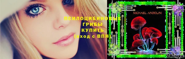 гидропоника Белокуриха