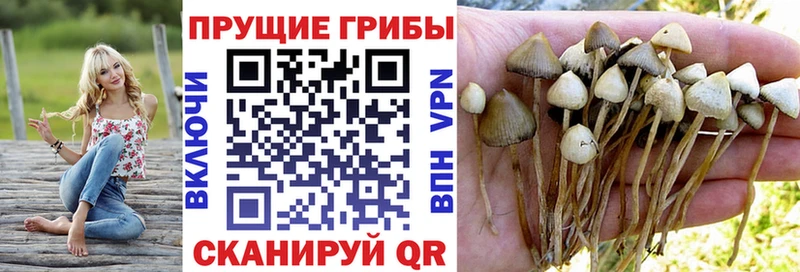 где найти наркотики  Вуктыл  Псилоцибиновые грибы MAGIC MUSHROOMS 